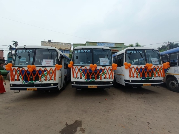 The buses The buses