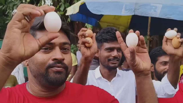 A protester with eggs in the court campus A protester with eggs in the court campus