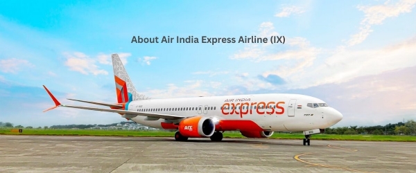 Air India Express flight Air India Express flight
