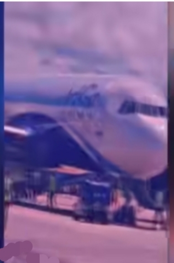 Image of the Aircraft. Image of the Aircraft.
