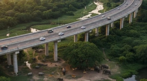 Image of the Proposed Kaziranga Elevated Corridor. Image of the Proposed Kaziranga Elevated Corridor.
