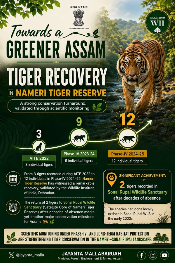 The Illustration shared by Forest Minister Jayant Mallabarua on Friday. The Illustration shared by Forest Minister Jayant Mallabarua on Friday.