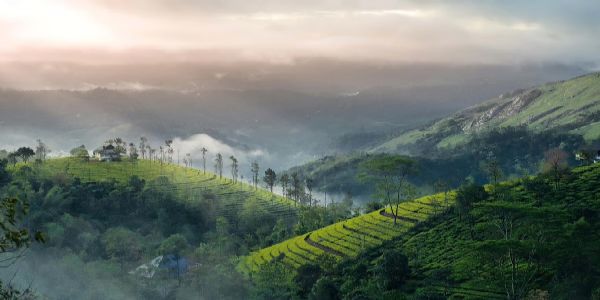 Munnar panchayath cracks down on single use plastics