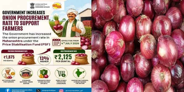 Government Raises Onion Procurement Price by 13 Per Cent to Rs 2,125 Per Quintal