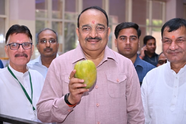 Horticulture Minister Dinesh Pratap Singh flauting mango during closing ceremony of Mango Festival Horticulture Minister Dinesh Pratap Singh flauting mango during closing ceremony of Mango Festival
