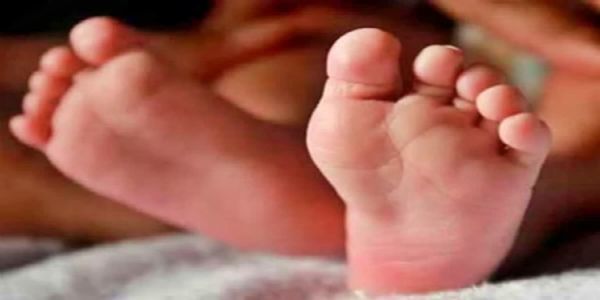 Woman Hacked to Death on Busy Road in West Bengal; Man Attempts Suicide After Attack