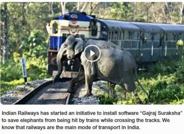 Indian Railways for wildlife safety Indian Railways for wildlife safety