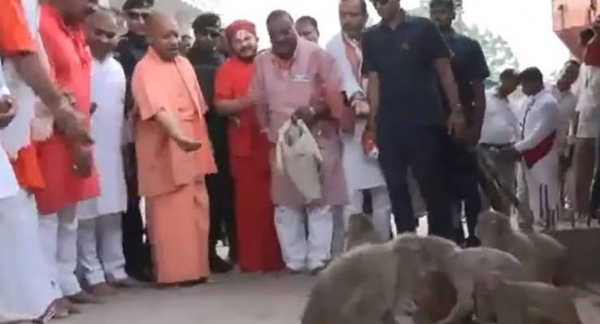 UPfed gram to monkeys along the way to Kamadgiri Mountain in Chitrakoot on Thursday