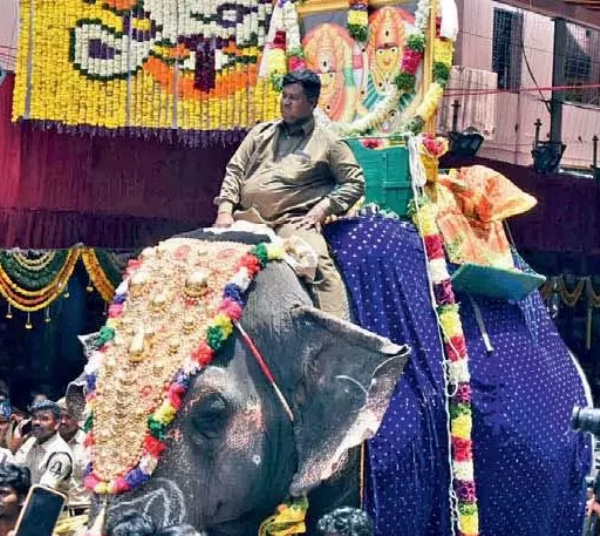 Lakshmi elephant to lead Bonalu processions in Secunderabad, Old City file pic