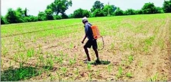Lack of significant rainfall has continued to worry UP farmers