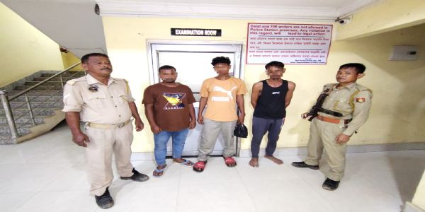 Three Arrested for Master Oil Theft From Vehicle In Cachar