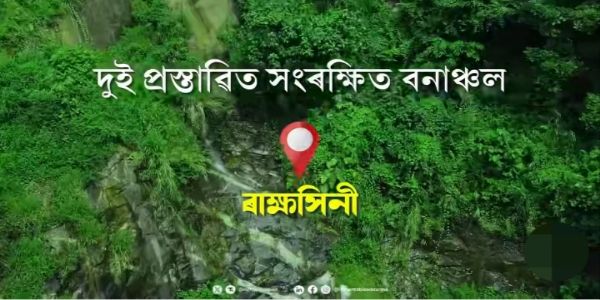 Assam Cabinet Approves Proposal to Declare Two Proposed Reserved Forests as Reserved Forests
