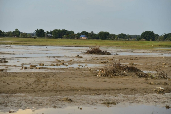 Assam Flood.
