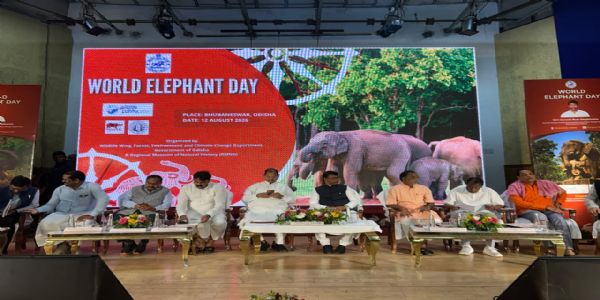 World Elephant Day Observed in Odisha with Focus on Collective Conservation Efforts