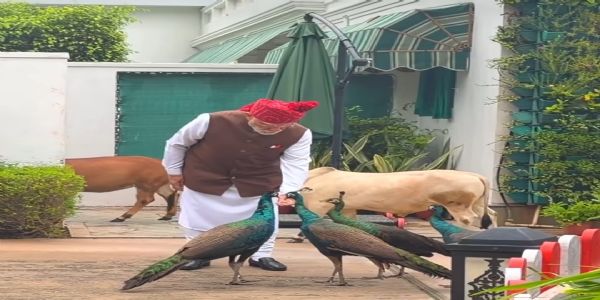 PM Modi Shares Candid Independence Day Morning, Feeds Cows and Peacocks Before Red Fort Ceremony