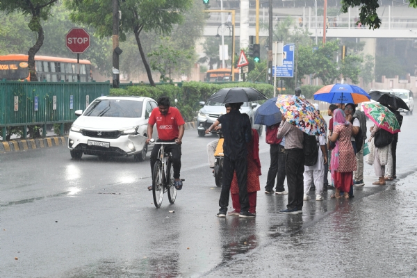 The weather in Delhi-NCR took a sudden turn on Saturday, bringing strong winds and heavy rain.