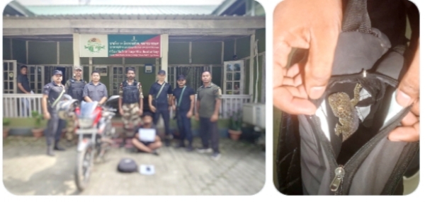 Image of the Rescued Tokay Gecko in Kaziranga with Smugglers.
