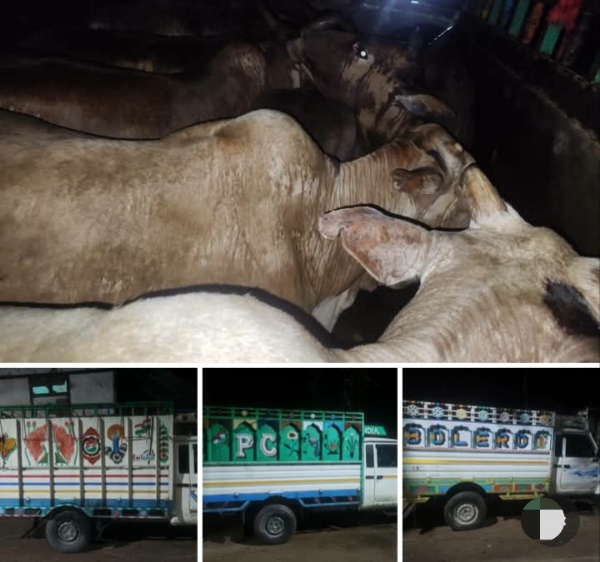 The images Shared with Assam CM Dr Himanta Biswa Sarma.
