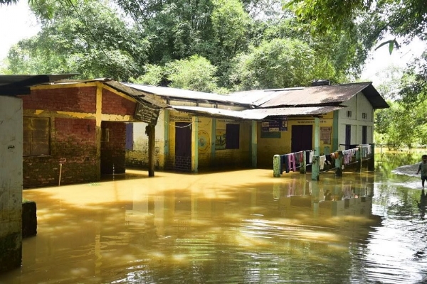 Image of the Assam Flood.