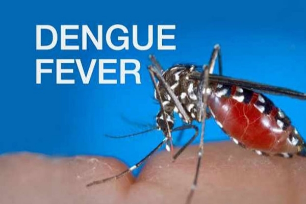 Dengue