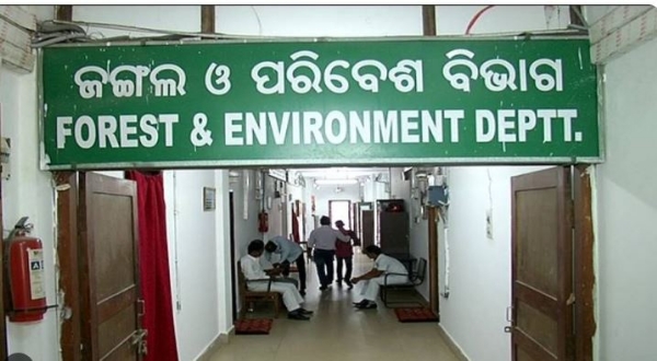 forest dept odisha forest dept odisha