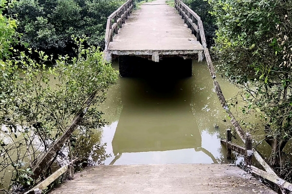 The collapsed bridge