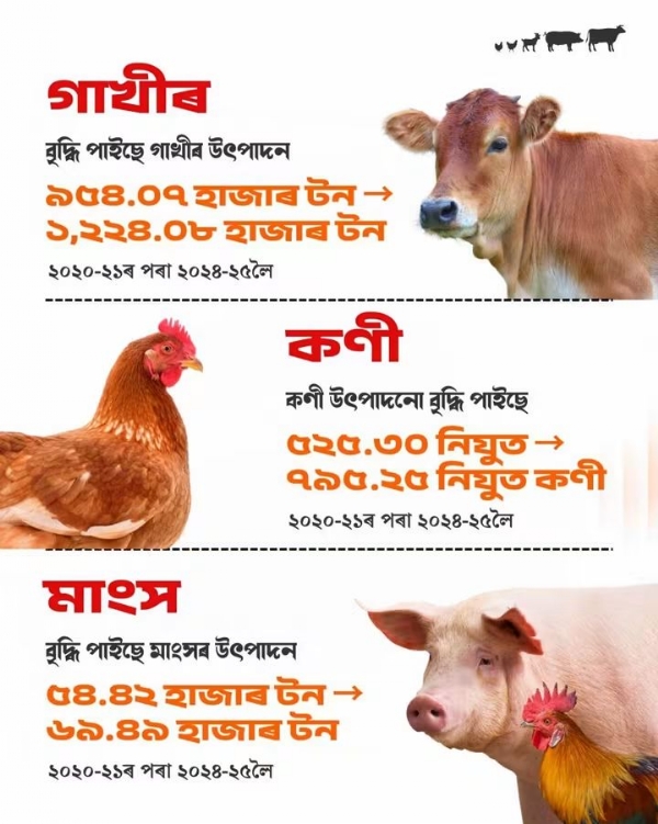The Illustration shared by Assam CM Dr Himanta Biswa Sarma.