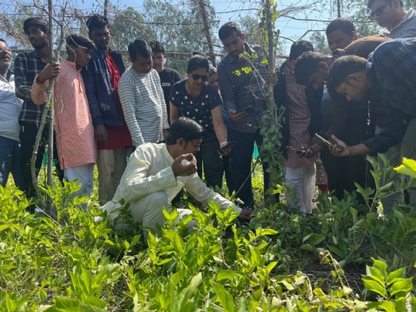 सागर के आकाश चौरसिया ने खेती को बनाया नवाचार का मॉडल