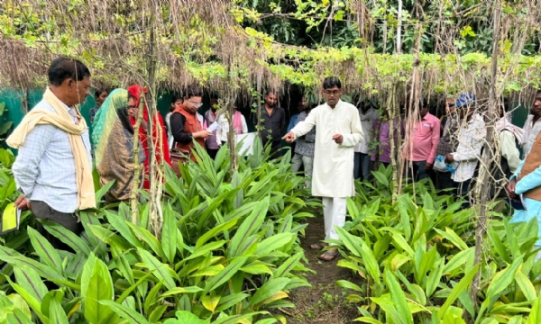 सागर के आकाश चौरसिया ने खेती को बनाया नवाचार का मॉडल