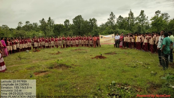 The plantation drive
