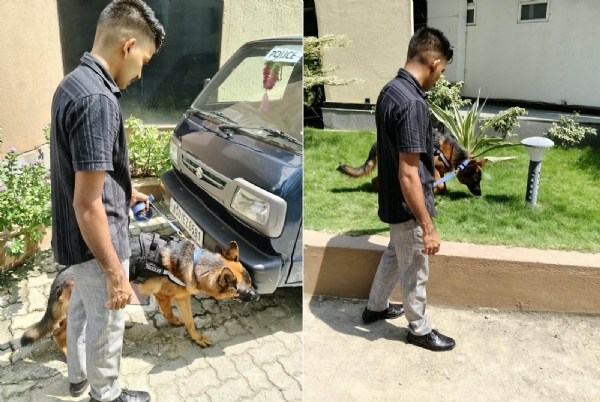 SSB Dog Squad Conducting Anti-Sabotage Checking At ACA Stadium Ahead Of India-West Indies ODI.