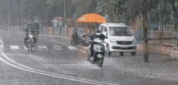 Rain showers in Rajula, Amreli,35 percent rainfall deficit in Saurashtra-Kutch