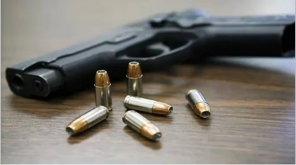 Representative Image: Pistol फाइल फोटो: पिस्तौल