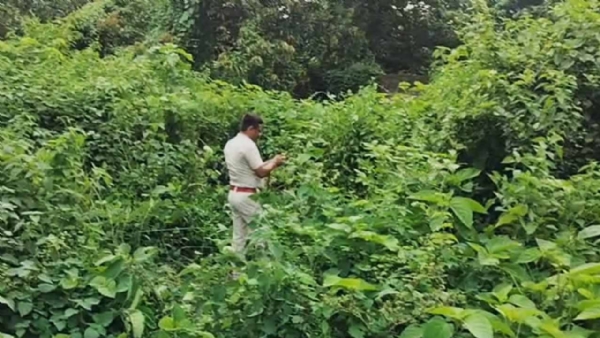 police in jungles of Raghunathganj