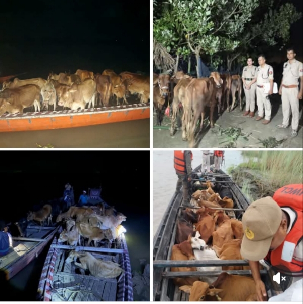 The images Shared by Assam CM Dr Himanta Biswa Sarma. The images Shared by Assam CM Dr Himanta Biswa Sarma.